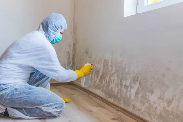 Licensed Crawl Space Mold Removal service in Grand Ledge, MI - WQB Mold Removal