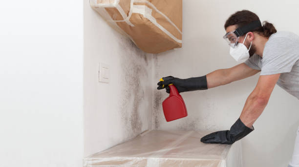 Professional Crawl Space Mold Removal technician working in Grand Ledge, MI