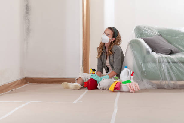 Reliable Crawl Space Mold Removal contractor in Grand Ledge, MI by WQB Mold Removal